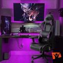 صندلی گیمینگ مدل ریسینگ کد D610TF3